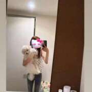 ヒメ日記 2025/09/02 03:45 投稿 りさ CECIL