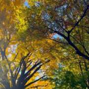 ヒメ日記 2025/11/17 16:08 投稿 りさ CECIL