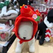 りさ めでたい CECIL