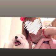 ヒメ日記 2025/12/11 05:14 投稿 りさ CECIL