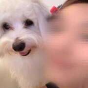 ヒメ日記 2025/12/20 05:16 投稿 りさ CECIL