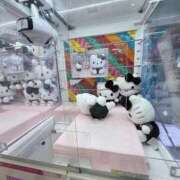 ヒメ日記 2026/01/19 11:01 投稿 りさ CECIL