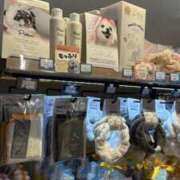 ヒメ日記 2026/03/30 05:06 投稿 りさ CECIL