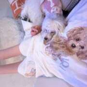 ヒメ日記 2026/04/08 19:49 投稿 りさ CECIL