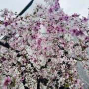 ヒメ日記 2025/04/04 22:32 投稿 西野 池田マッサージ