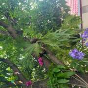 ヒメ日記 2025/05/09 22:28 投稿 西野 池田マッサージ