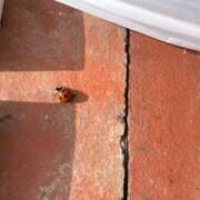 ヒメ日記 2025/05/18 22:53 投稿 西野 池田マッサージ