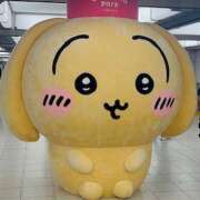 ヒメ日記 2025/08/12 15:38 投稿 西野 池田マッサージ