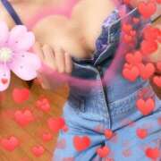 ヒメ日記 2025/05/11 01:43 投稿 かや 人妻美人館