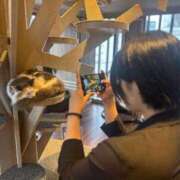 ヒメ日記 2025/05/19 11:52 投稿 りん Felice(フェリス)