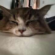 ヒメ日記 2025/06/26 11:48 投稿 りん Felice(フェリス)