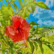 ヒメ日記 2025/07/22 12:31 投稿 りん Felice(フェリス)