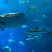 ヒメ日記 2025/08/03 11:49 投稿 りん Felice(フェリス)