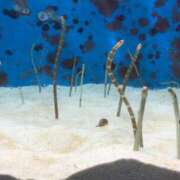 ヒメ日記 2025/08/19 11:52 投稿 りん Felice(フェリス)