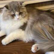 ヒメ日記 2025/09/05 11:54 投稿 りん Felice(フェリス)