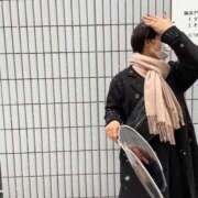 ヒメ日記 2025/10/09 12:26 投稿 りん Felice(フェリス)