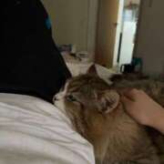 ヒメ日記 2025/10/10 12:01 投稿 りん Felice(フェリス)