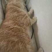 ヒメ日記 2026/01/05 11:28 投稿 りん Felice(フェリス)