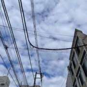 ヒメ日記 2026/01/28 11:44 投稿 りん Felice(フェリス)