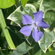 ヒメ日記 2026/04/14 12:18 投稿 りん Felice(フェリス)