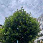 ヒメ日記 2026/04/24 11:44 投稿 りん Felice(フェリス)