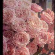 ヒメ日記 2025/03/06 15:55 投稿 心愛(ここあ) 高知デリヘル倶楽部 人妻熟女専門店