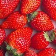 ヒメ日記 2025/03/20 16:07 投稿 心愛(ここあ) 高知デリヘル倶楽部 人妻熟女専門店