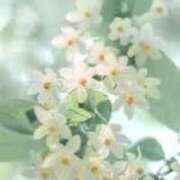 ヒメ日記 2025/04/08 17:37 投稿 心愛(ここあ) 高知デリヘル倶楽部 人妻熟女専門店