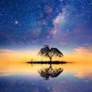 ヒメ日記 2025/04/09 17:27 投稿 心愛(ここあ) 高知デリヘル倶楽部 人妻熟女専門店