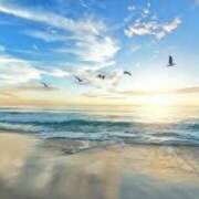 ヒメ日記 2025/04/11 14:42 投稿 心愛(ここあ) 高知デリヘル倶楽部 人妻熟女専門店