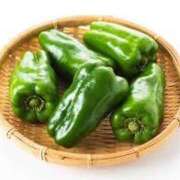 ヒメ日記 2025/04/11 20:17 投稿 心愛(ここあ) 高知デリヘル倶楽部 人妻熟女専門店