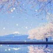 ヒメ日記 2025/04/18 12:12 投稿 心愛(ここあ) 高知デリヘル倶楽部 人妻熟女専門店