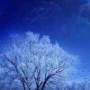 ヒメ日記 2025/04/23 11:43 投稿 心愛(ここあ) 高知デリヘル倶楽部 人妻熟女専門店