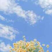 ヒメ日記 2025/04/25 10:30 投稿 心愛(ここあ) 高知デリヘル倶楽部 人妻熟女専門店