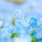 ヒメ日記 2025/04/29 00:37 投稿 心愛(ここあ) 高知デリヘル倶楽部 人妻熟女専門店