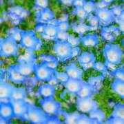 ヒメ日記 2025/04/30 20:52 投稿 心愛(ここあ) 高知デリヘル倶楽部 人妻熟女専門店