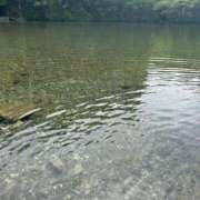 ヒメ日記 2025/05/05 20:54 投稿 心愛(ここあ) 高知デリヘル倶楽部 人妻熟女専門店