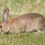 ヒメ日記 2025/05/07 14:01 投稿 心愛(ここあ) 高知デリヘル倶楽部 人妻熟女専門店