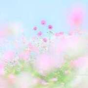 ヒメ日記 2025/05/12 11:12 投稿 心愛(ここあ) 高知デリヘル倶楽部 人妻熟女専門店