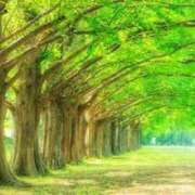 ヒメ日記 2025/05/13 07:10 投稿 心愛(ここあ) 高知デリヘル倶楽部 人妻熟女専門店