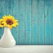 ヒメ日記 2025/05/17 12:38 投稿 心愛(ここあ) 高知デリヘル倶楽部 人妻熟女専門店