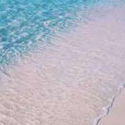 ヒメ日記 2025/05/24 12:39 投稿 心愛(ここあ) 高知デリヘル倶楽部 人妻熟女専門店