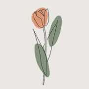 ヒメ日記 2025/05/30 14:13 投稿 心愛(ここあ) 高知デリヘル倶楽部 人妻熟女専門店