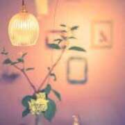 ヒメ日記 2025/06/13 08:10 投稿 心愛(ここあ) 高知デリヘル倶楽部 人妻熟女専門店