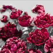 ヒメ日記 2025/06/27 18:42 投稿 心愛(ここあ) 高知デリヘル倶楽部 人妻熟女専門店