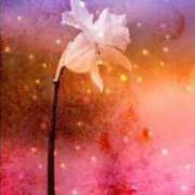 ヒメ日記 2025/07/04 09:00 投稿 心愛(ここあ) 高知デリヘル倶楽部 人妻熟女専門店