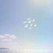 ヒメ日記 2025/07/15 17:10 投稿 心愛(ここあ) 高知デリヘル倶楽部 人妻熟女専門店