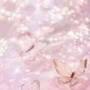 ヒメ日記 2025/08/08 18:30 投稿 心愛(ここあ) 高知デリヘル倶楽部 人妻熟女専門店