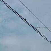 ヒメ日記 2025/08/12 18:20 投稿 心愛(ここあ) 高知デリヘル倶楽部 人妻熟女専門店