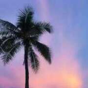 ヒメ日記 2025/08/15 16:17 投稿 心愛(ここあ) 高知デリヘル倶楽部 人妻熟女専門店